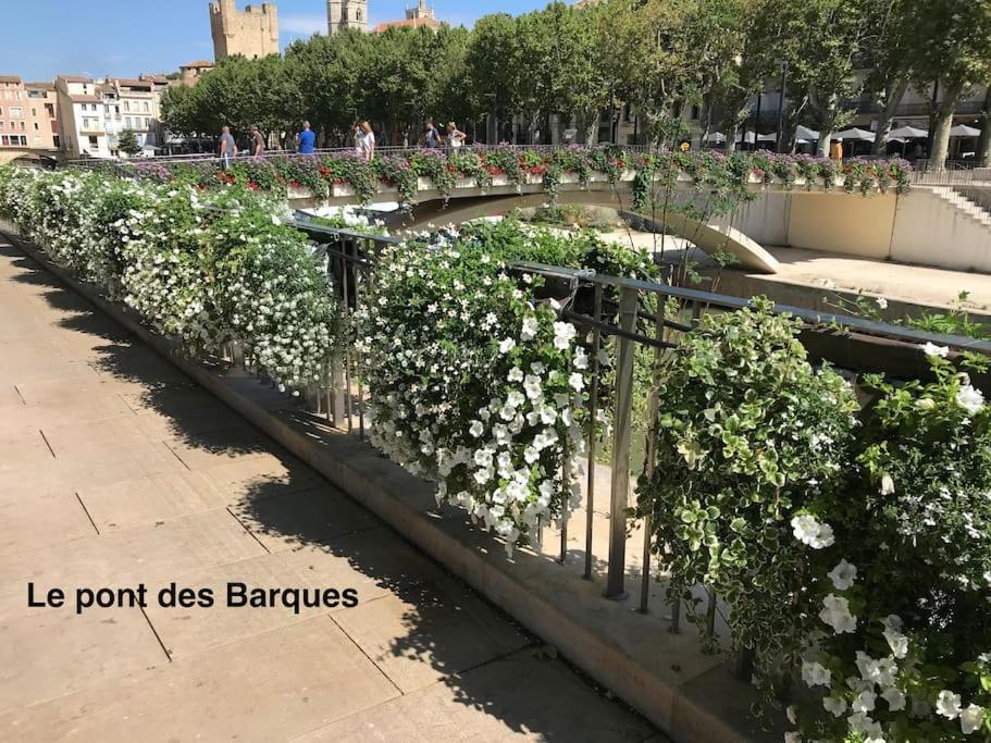 Narbonne : Super Appartement De Qualite Luaran gambar